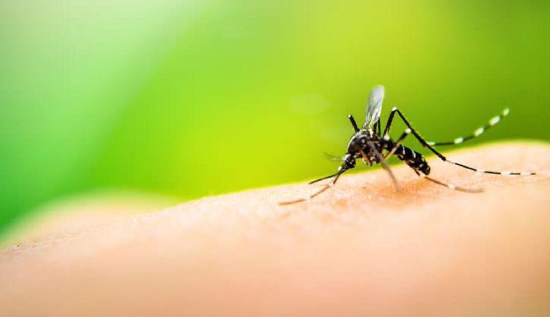 Cali, Yumbo y Ulloa, los municipios con el mayor número de casos.