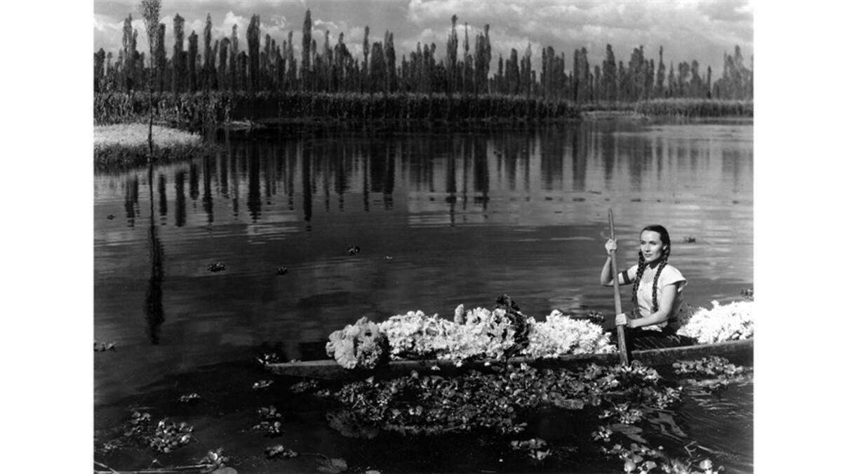Figueroa fue una figura de gran influencia y, según los expertos, con su estilo visual construyó una imagen inmortal de México. Foto: Archivo Gabriel Figueroa Flores.