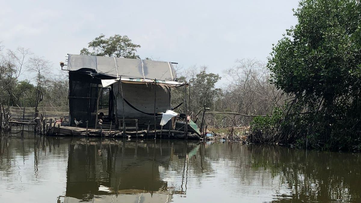 Enrique Maldonado Lara, líder pescador de Tasajera - Criaderos ilegales