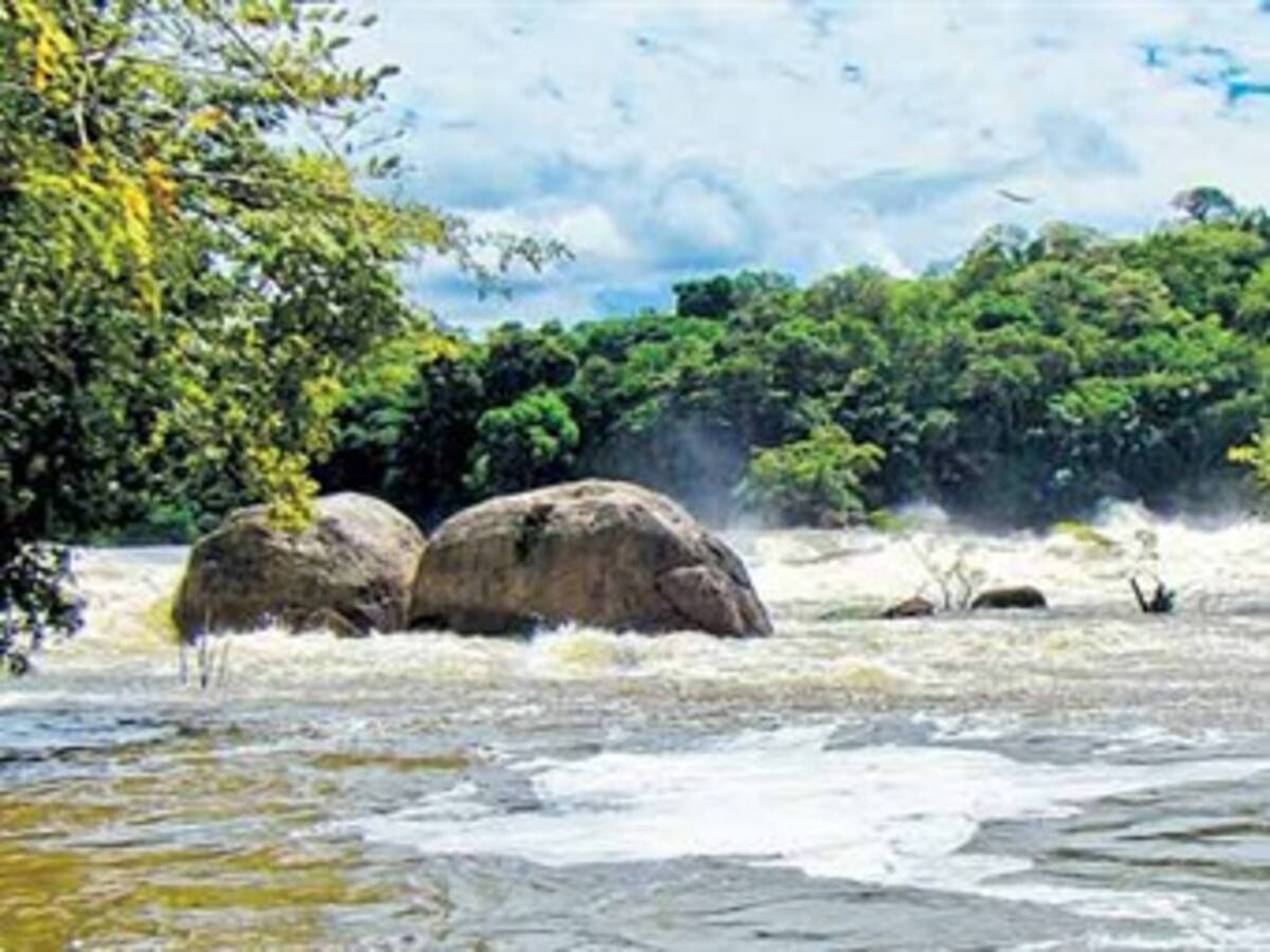 Procuraduría pide revocación de título a multinacional en reserva de Colombia