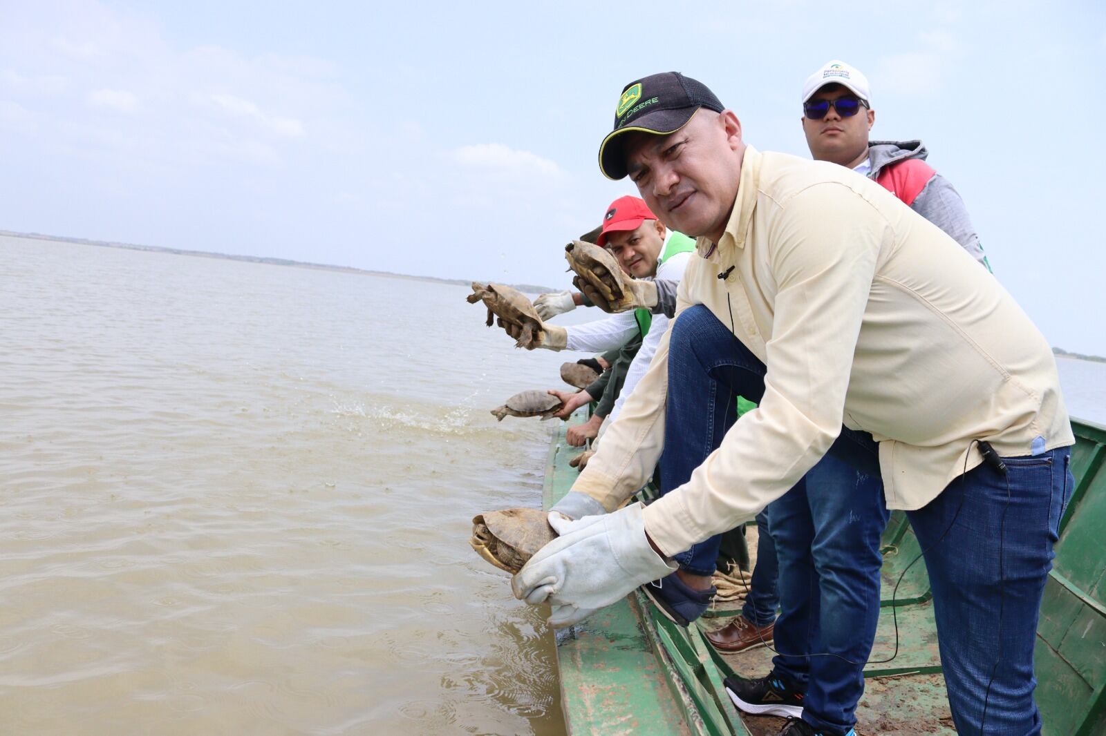 Liberan más de 600 hicoteas en humedales del San Jorge sucreño