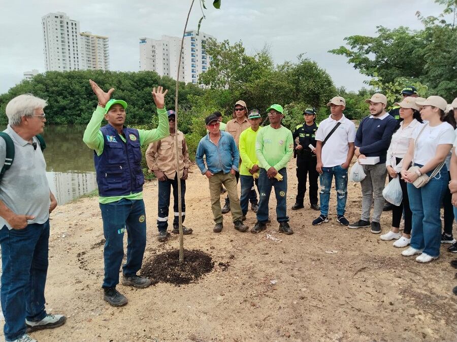 Alcaldía de Cartagena