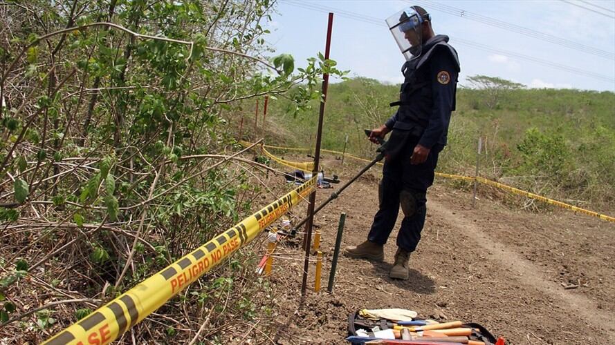 Imagen de referencia. Foto: Colprensa