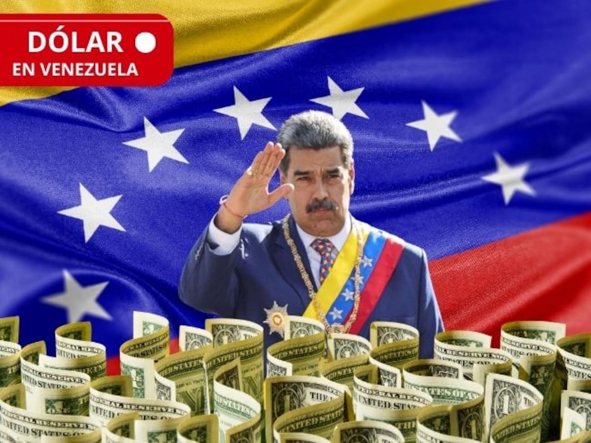 ¿Cómo está el dólar en Venezuela HOY? Precio oficial y paralelo 11 de julio, según BCV