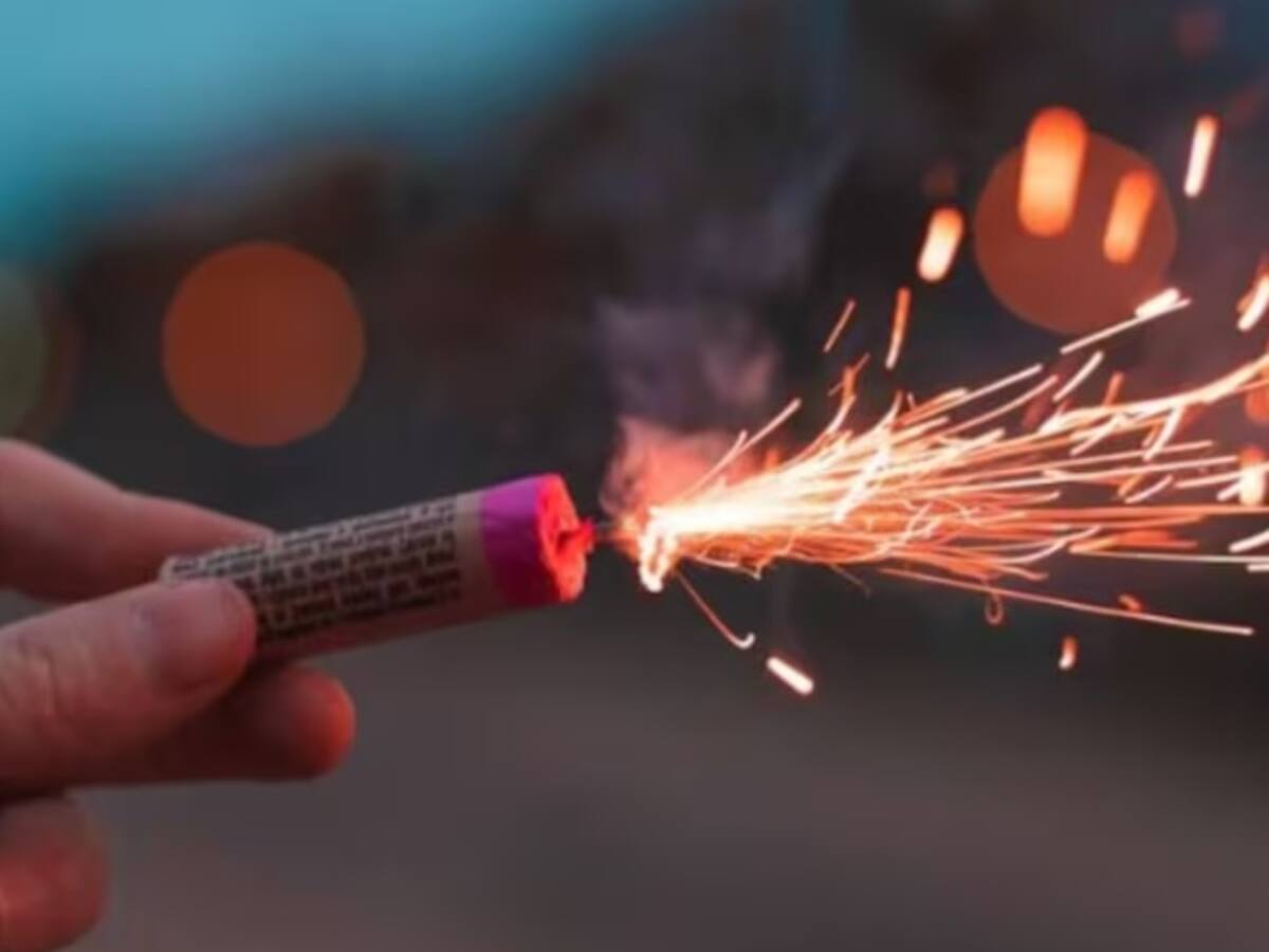 Autoridad ambiental en Quindío lanzó campaña en contra de la pólvora y en pro de la fauna silvestre