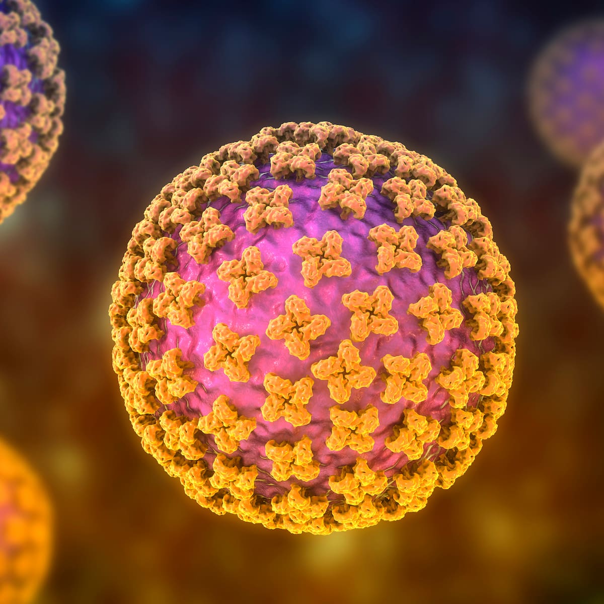 ¿Hay riesgo de hantavirus en Santander? Esto dice la Secretaría de Salud