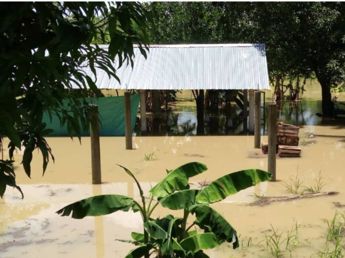 A 700 asciende familias damnificadas por lluvias en Caucasia