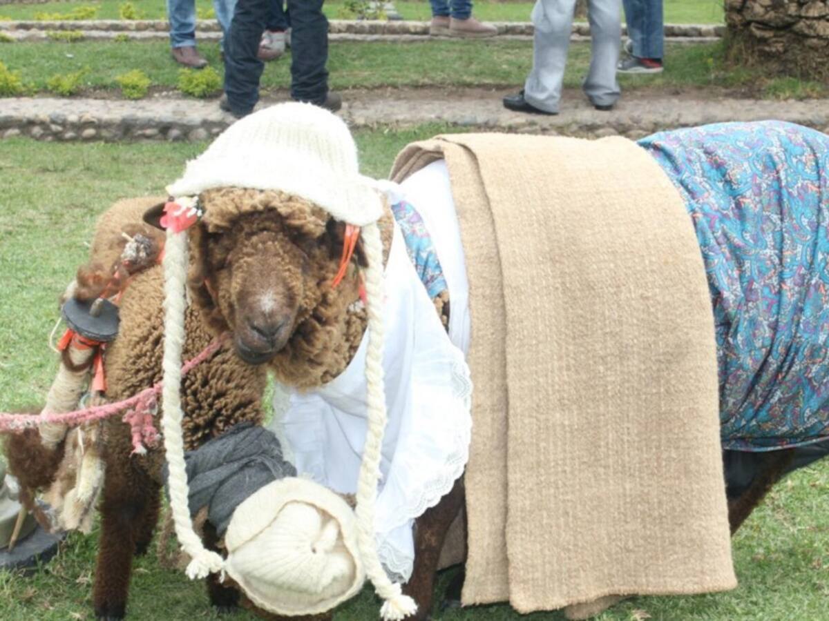 En Nobsa, Boyacá, se preparan para celebrar el día mundial de la ruana