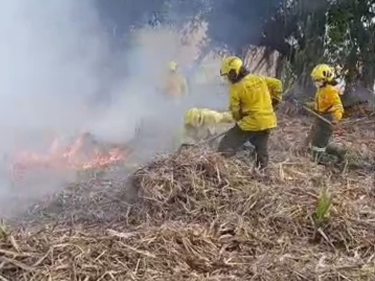 En Cali aprueban estrategia para mitigar consecuencias de la fuerte temporada seca