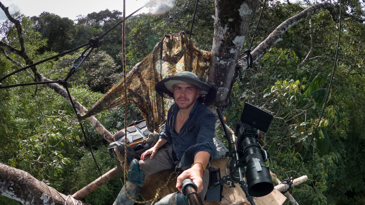 Salvando Primates y conectando con el alma de los bosques
