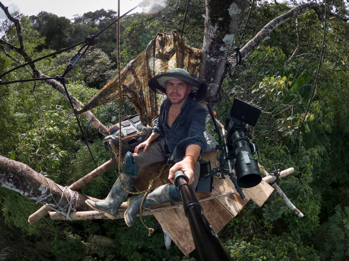 Salvando Primates y conectando con el alma de los bosques