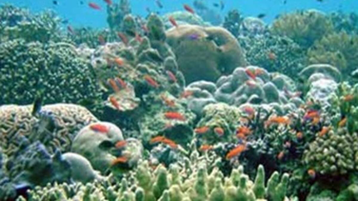 Premio al conocimiento y la protección de la biodiversidad