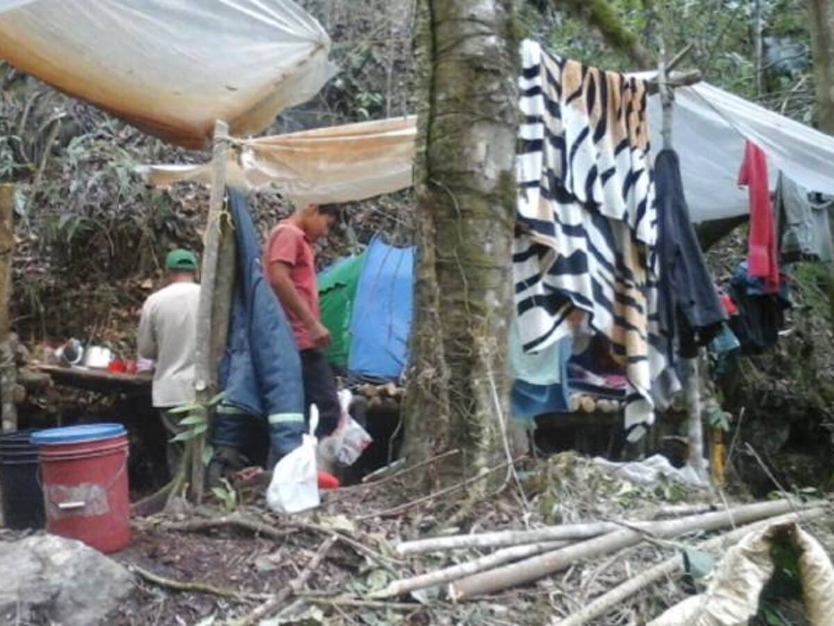 Capturan a cinco personas por minería ilegal en el Valle