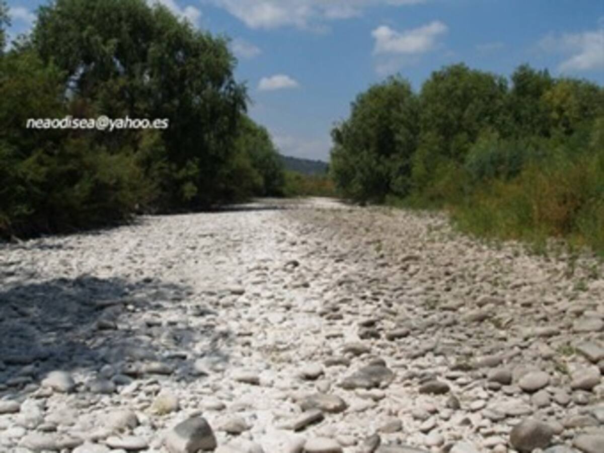 Bolívar sufre graves problemas de sequía