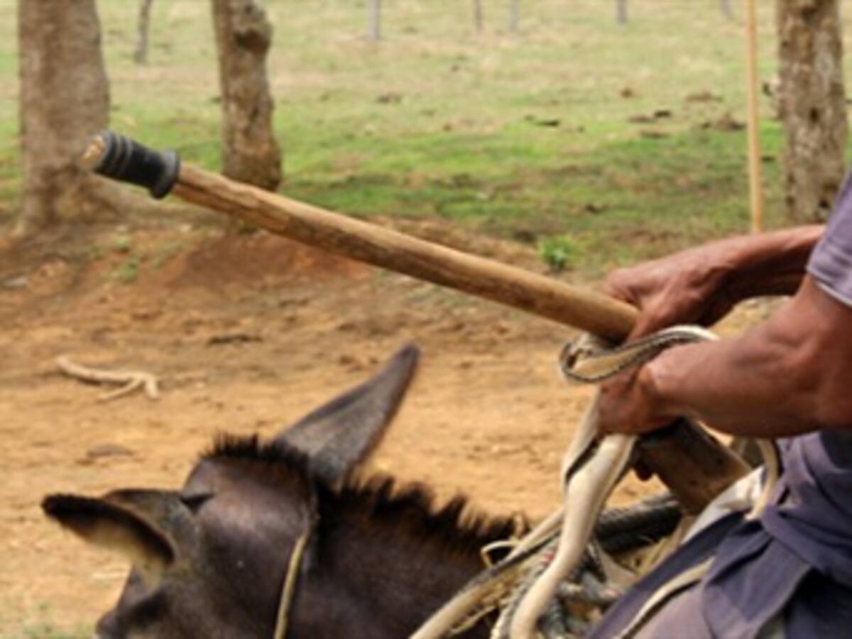Emiten primer fallo de restitución de tierras en caso que involucra a un opositor