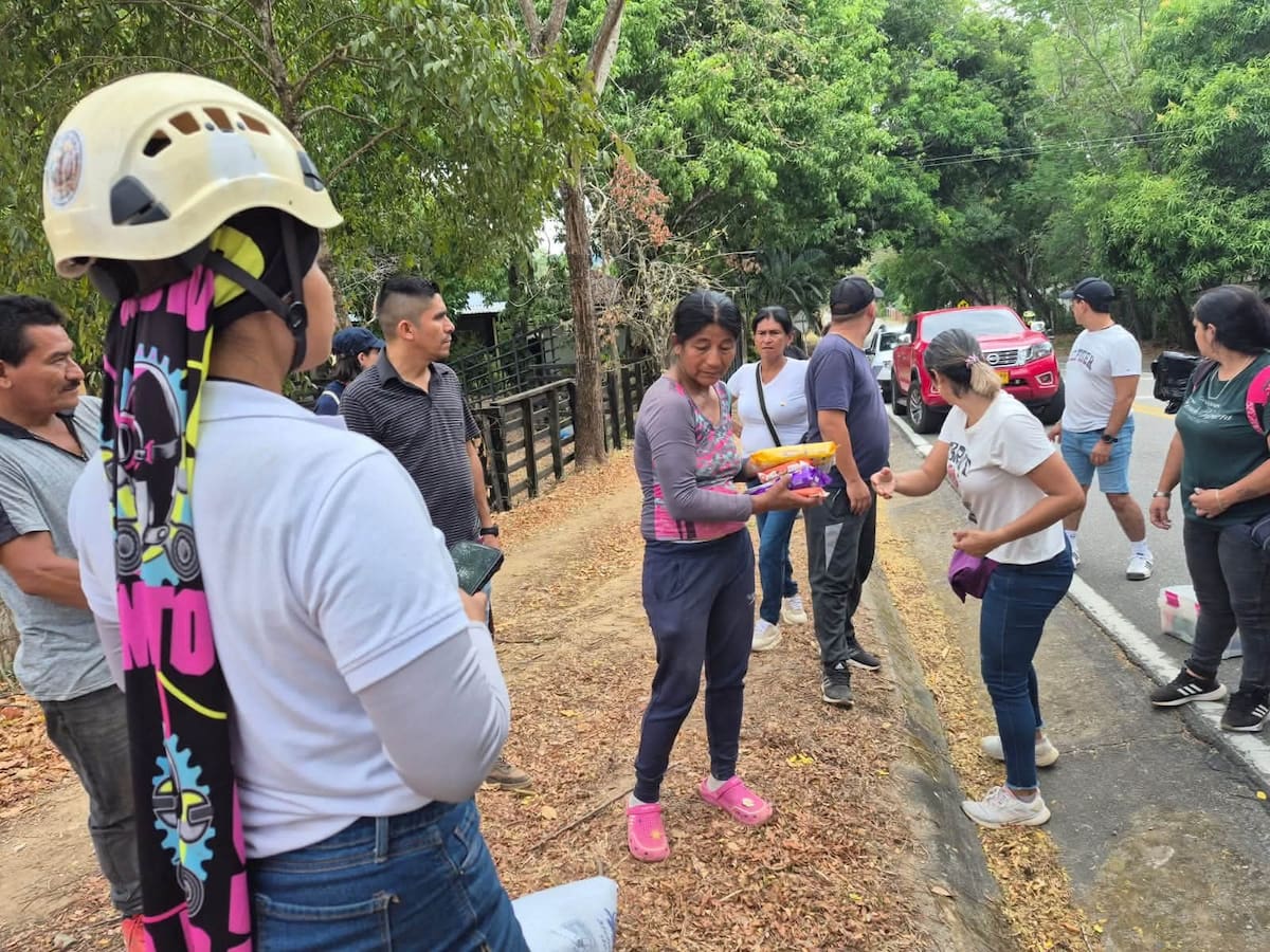Activistas reúnen ocho toneladas de ayudas para animales afectados por incendios en el Tolima