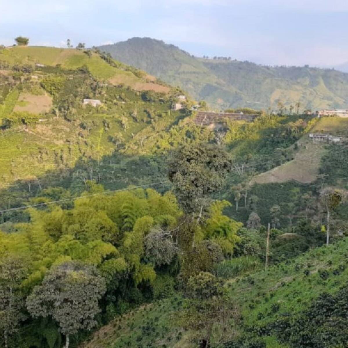 Este jueves se firma un gran pacto por el agro caldense