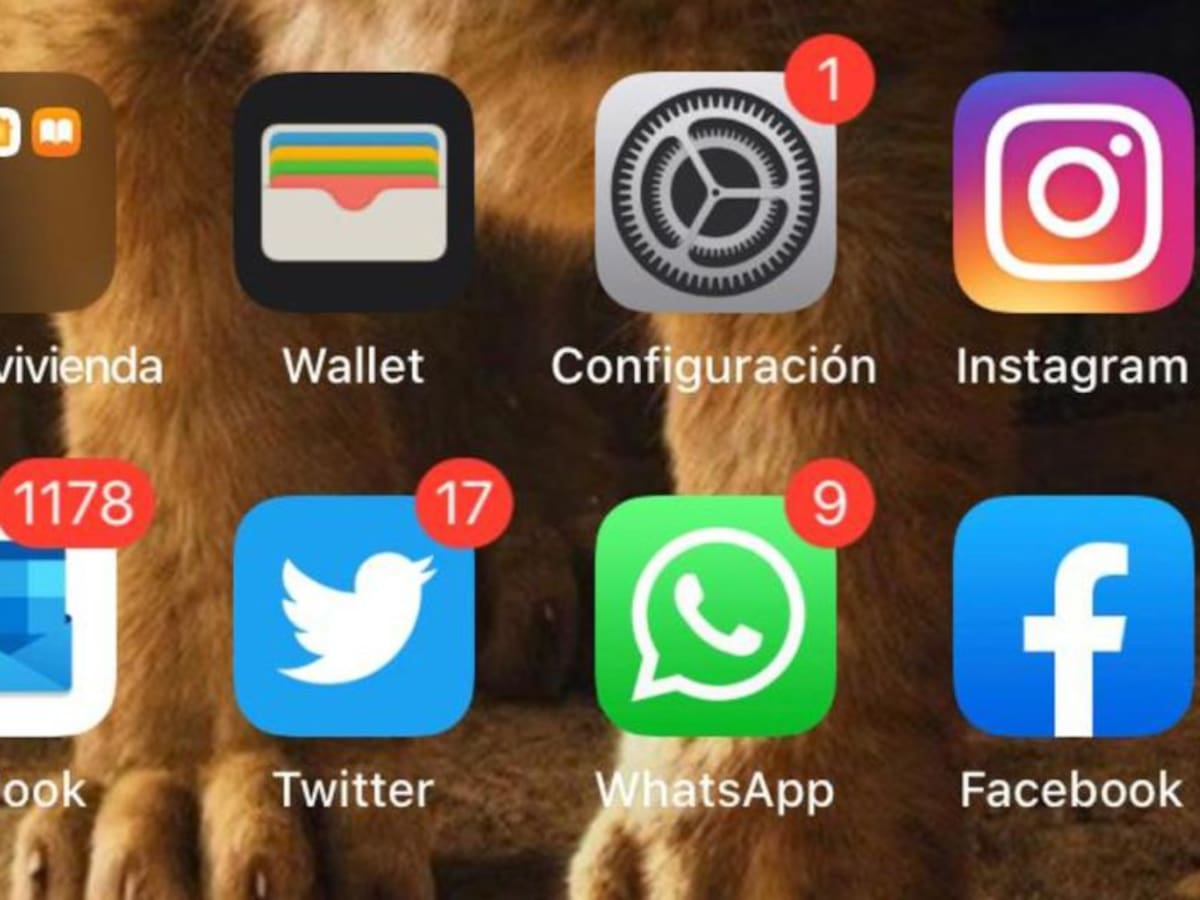 Mujeres risaraldenses podrán ser capacitadas en Marketing Digital