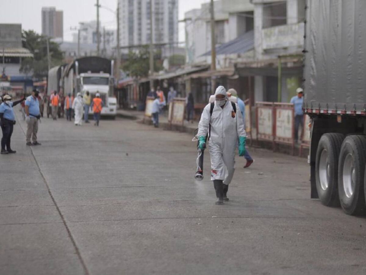 En Cartagena, empresas de desinfección deben tener concepto del DADIS