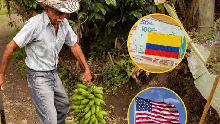 Adelantamos conversaciones para evitar que el arancel se traslade al productor colombiano: Augura