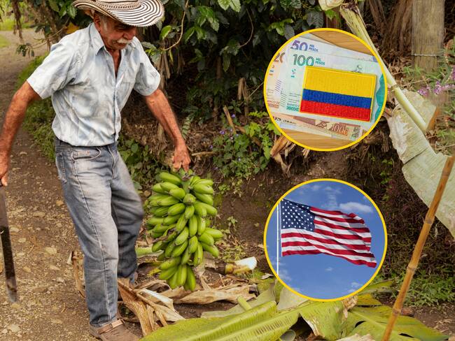 Adelantamos conversaciones para evitar que el arancel se traslade al productor colombiano: Augura