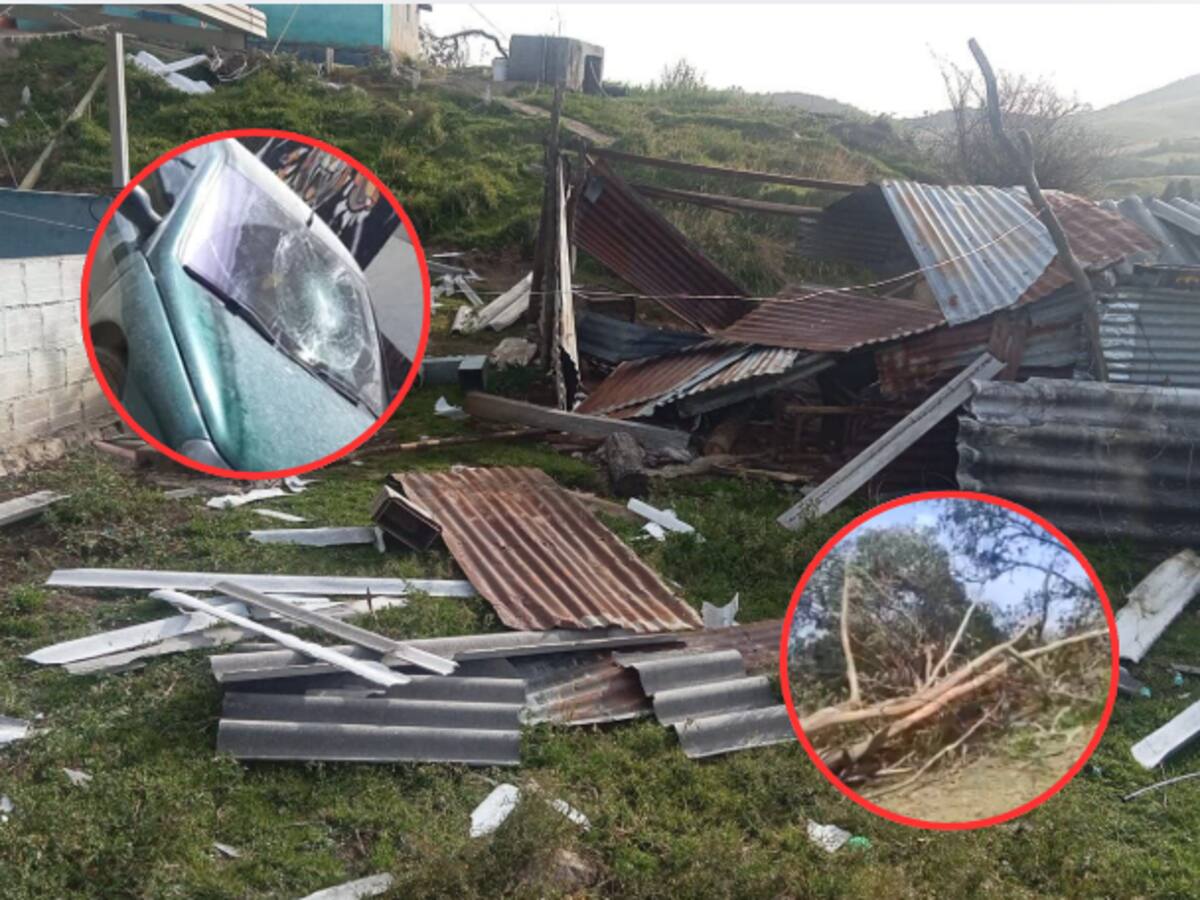 Viviendas sin techo, parabrisas destruidos y árboles caídos: fuertes vientos golpean a Santander