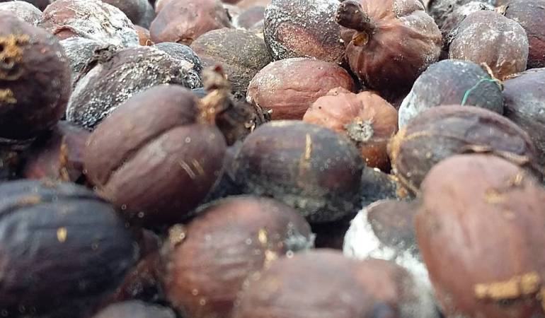 Se espera gestionar recursos para apoyar a los productores.