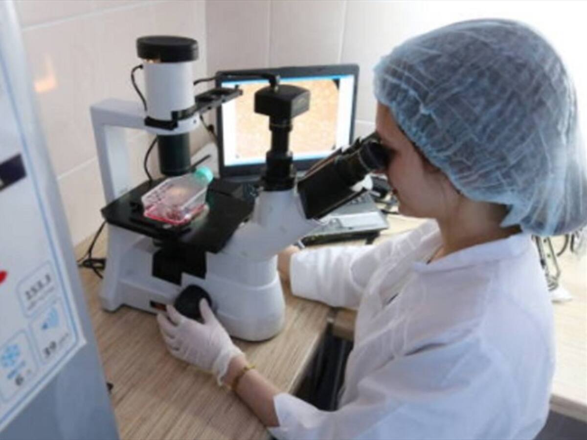 Científicos descubren "intersticio", nuevo órgano del cuerpo