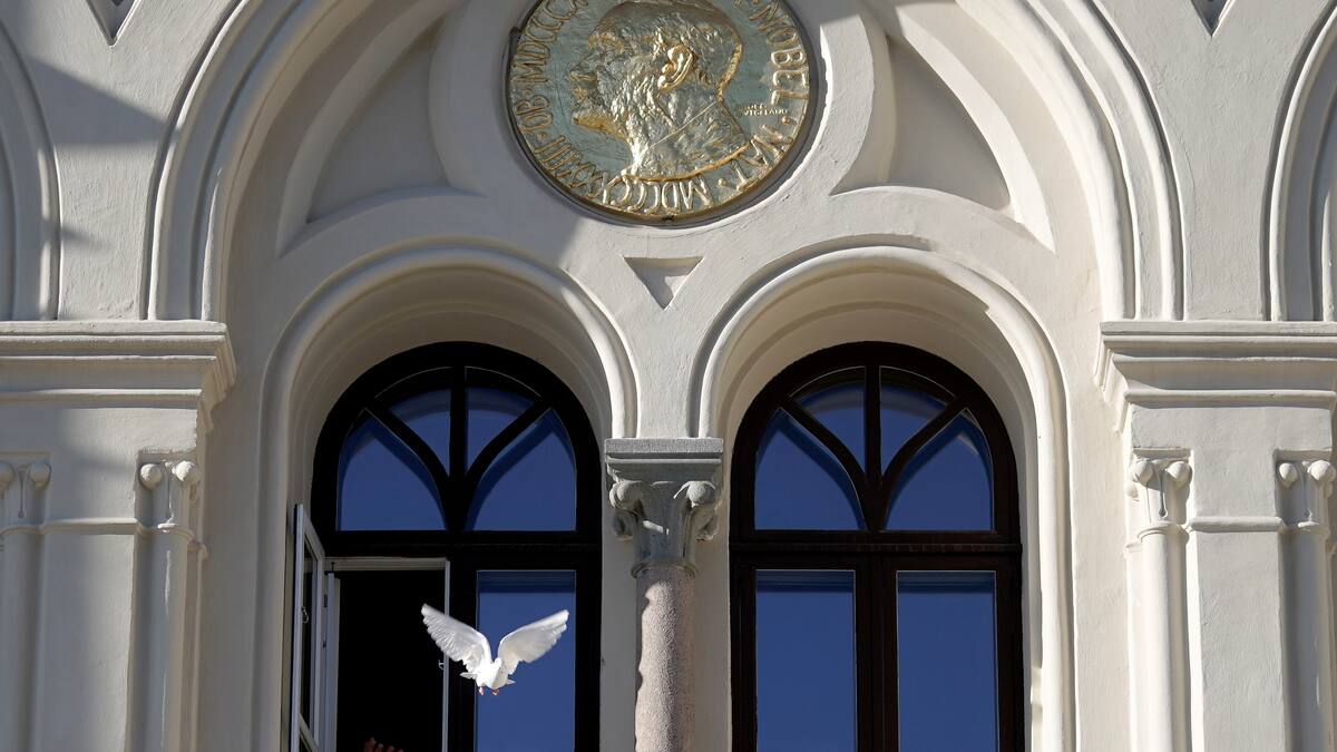 Nobel de Economía por revelar peso de instituciones sociales en la prosperidad de países