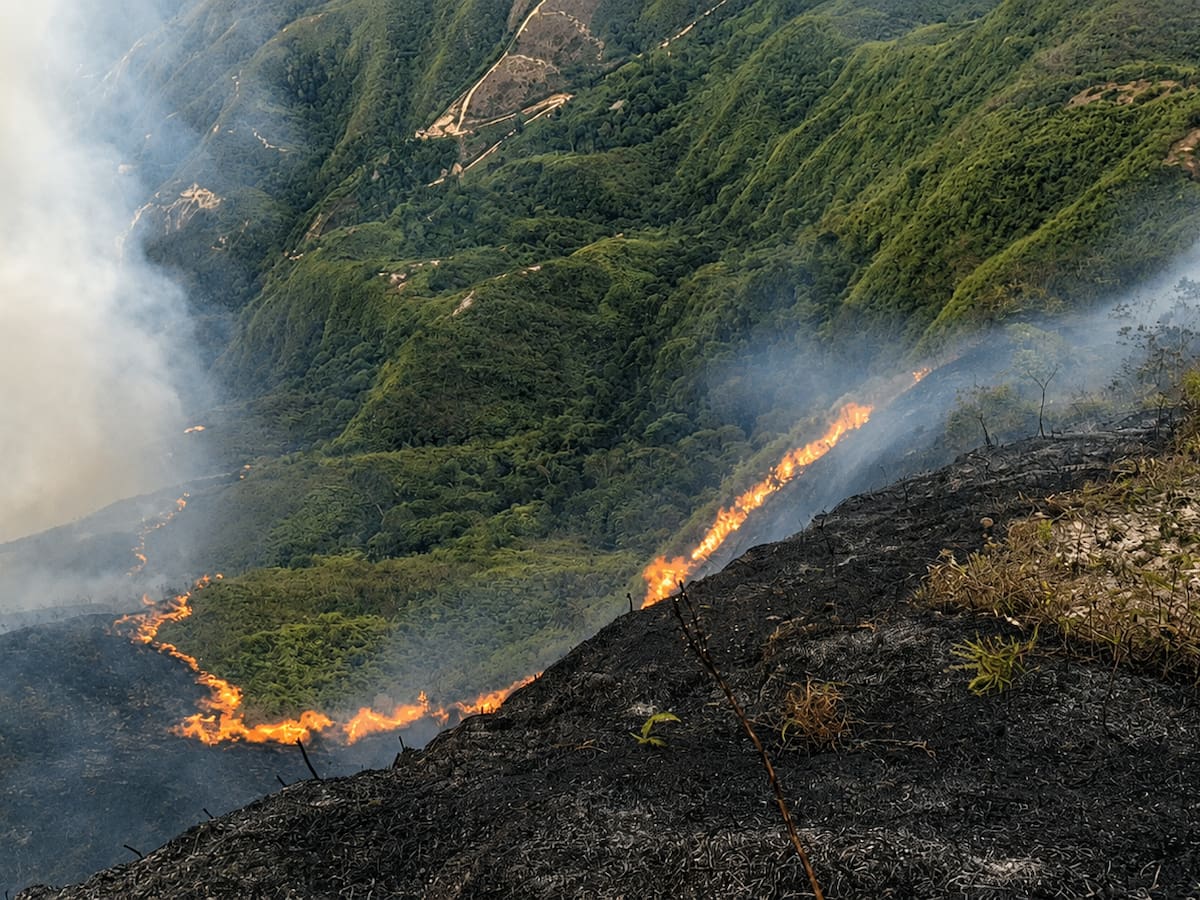 VIDEO | Más de 24 horas de incendio forestal en Mogotes, Santander