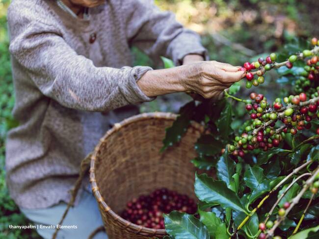 Cafeteros en el Huila preocupados por las alzas en los peajes y combustibles