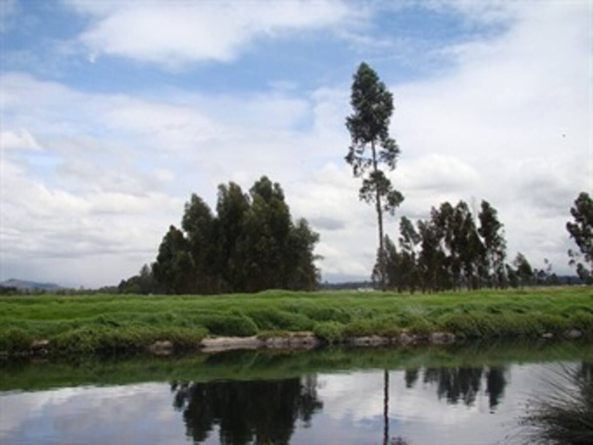Irregularidades en POZ Norte amenaza ecosistemas de la Sabana de Bogotá