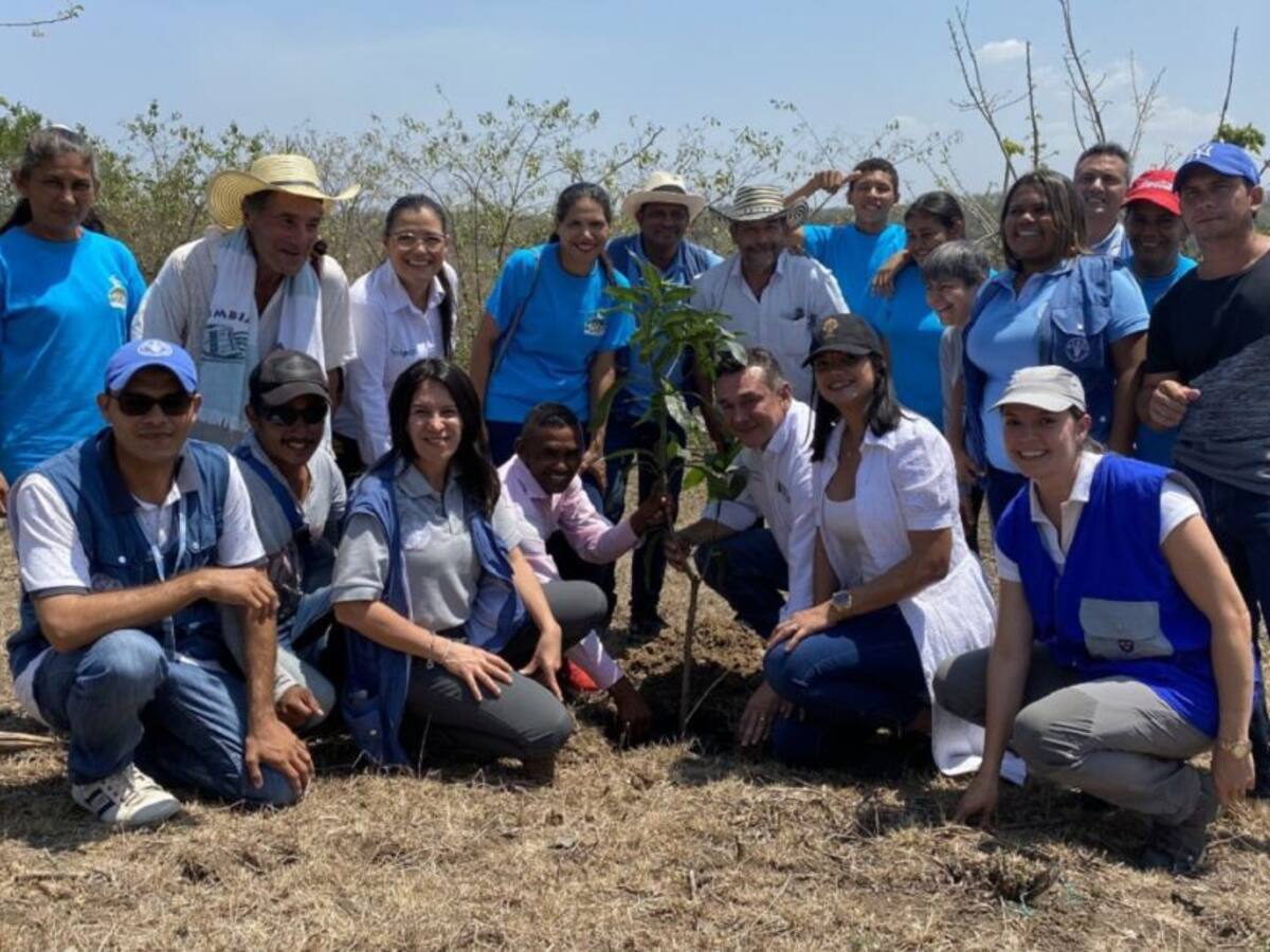 Productores de El Salado – Bolívar, innovan modelo de ganadería sostenible