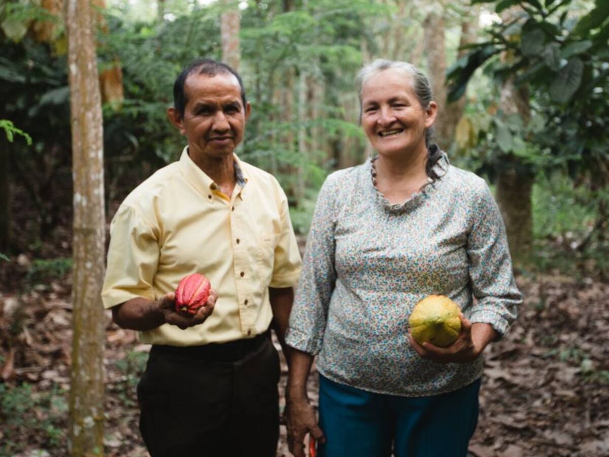$125.000 millones para la paz desde el Fondo Multidonante de la ONU