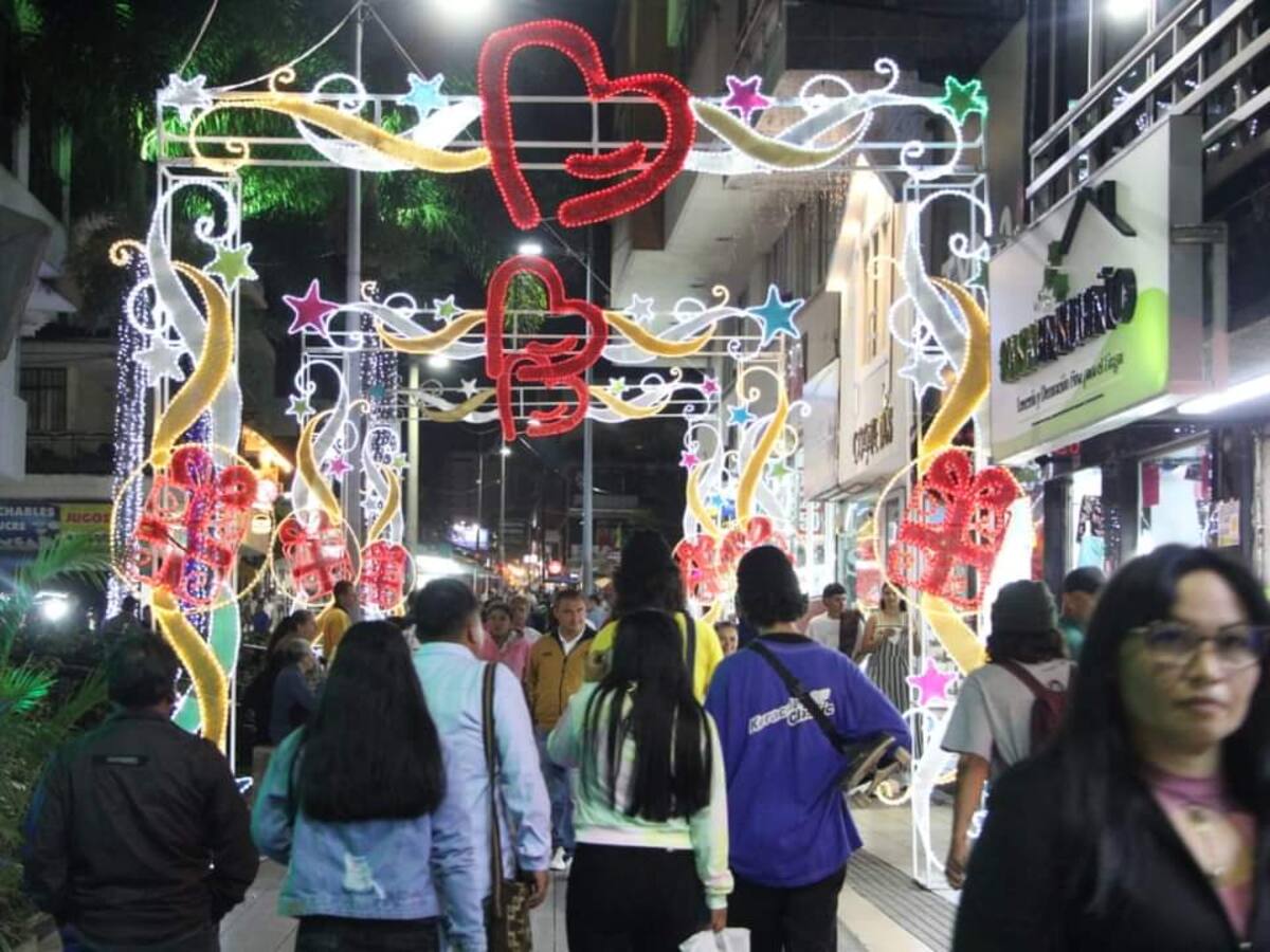 No Hay Derecho, están vandalizando y robando el alumbrado navideño en Armenia