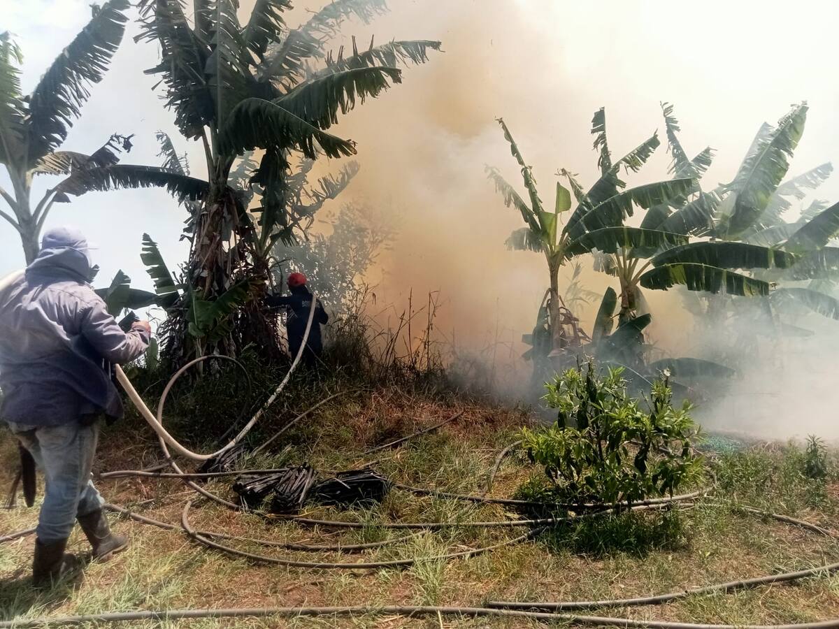 Se registran fuertes incendios en municipios de Santander. ¿En cuáles?