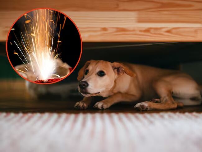 Foto de Getty Images