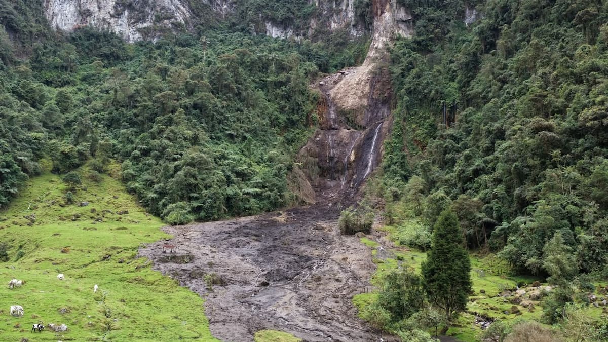 Alerta en Ibagué por múltiples deslizamientos en el Cañón del Combeima