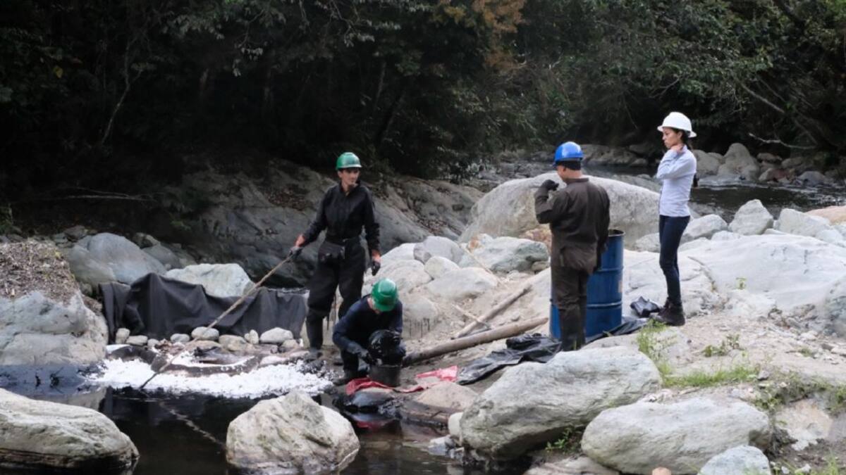 José Manuel Cortés, director CRQ, Quindío