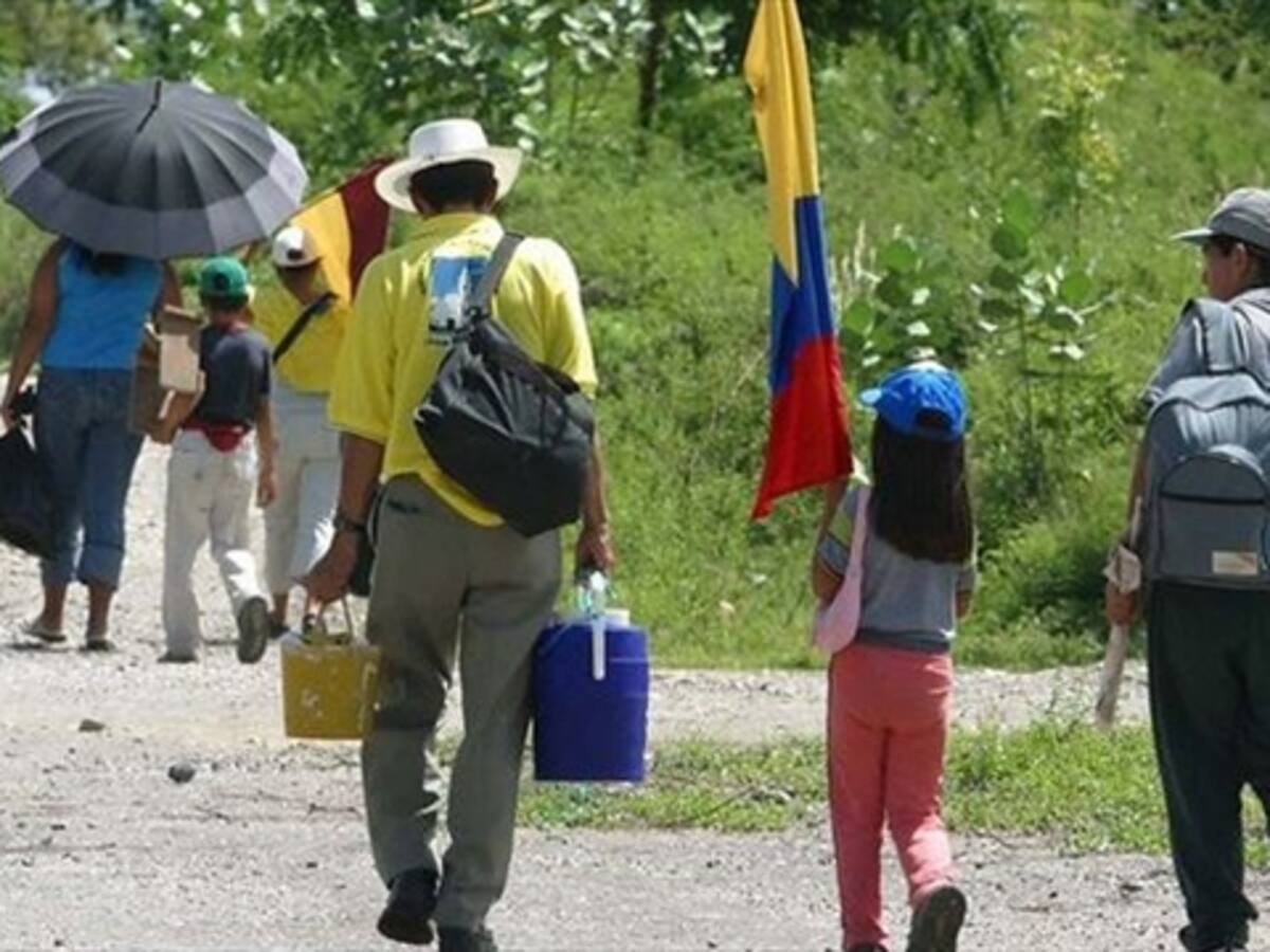 Las bandas criminales también se sumaron al delito de despojo de tierras