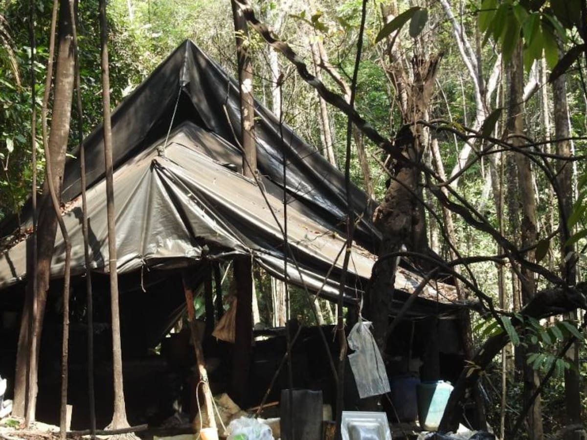 Destruyen megalaboratorio para el procesamiento de Cocaína en Tibú