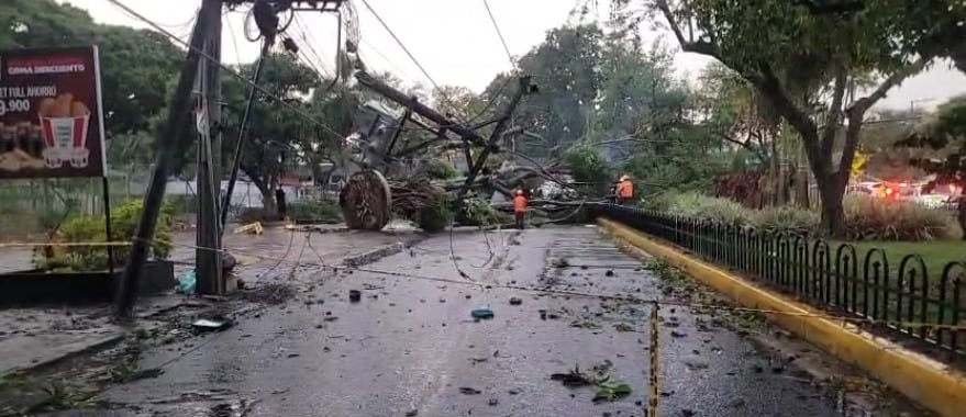 En la calle 16 con carrera 105, un árbol cayó sobre un vehículo.