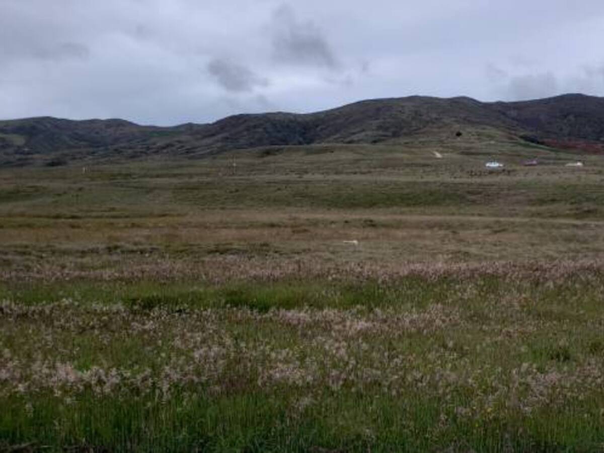 Ambientalistas aseguran que Minesa compra predios a Eco Oro