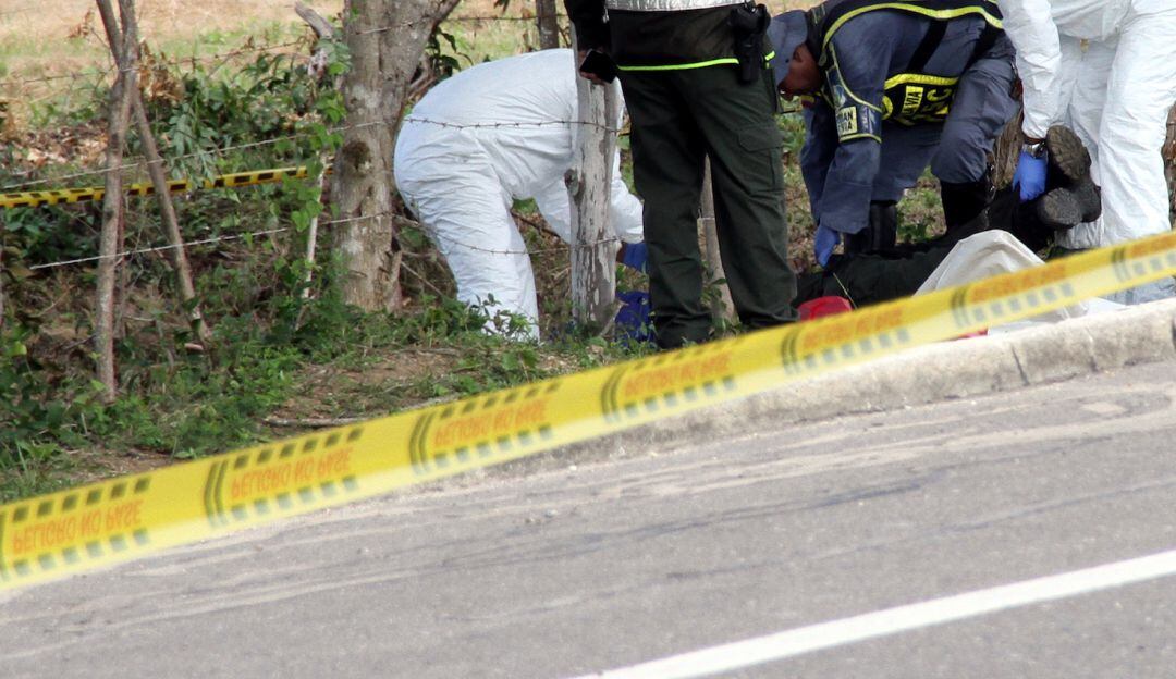 Imagen de referencia