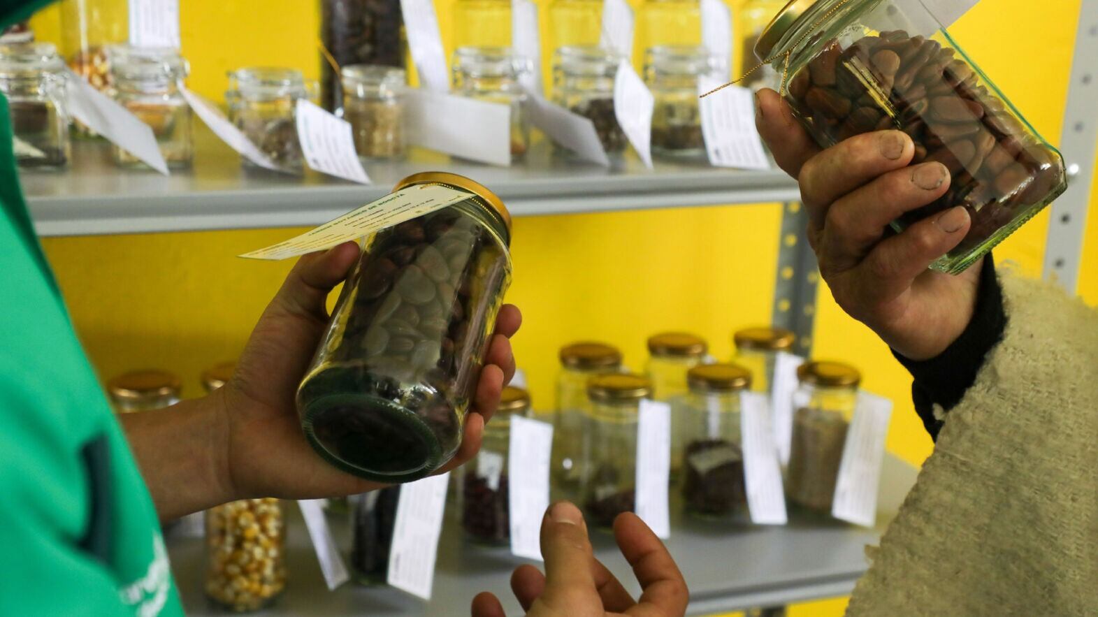 Foto: Jardín Botánico de Bogotá