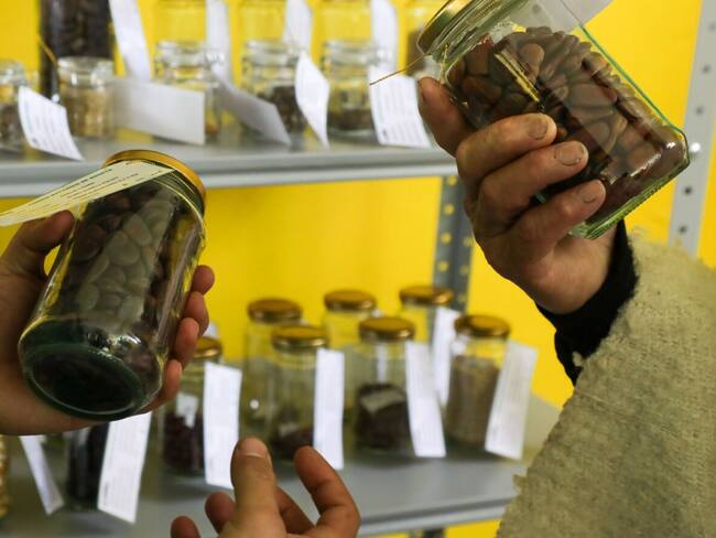 Foto: Jardín Botánico de Bogotá