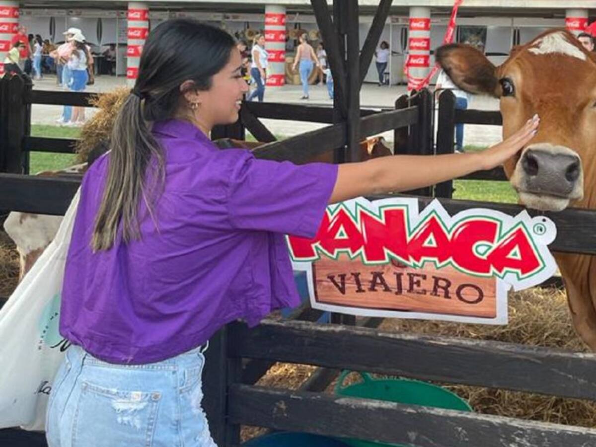 Llega Panaca Viajero a Ibagué. ¿Cuánto vale la boleta?