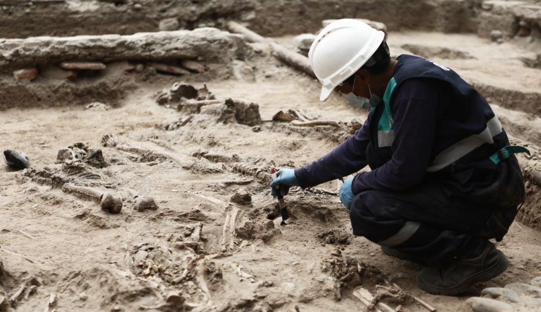 Imagen de referencia