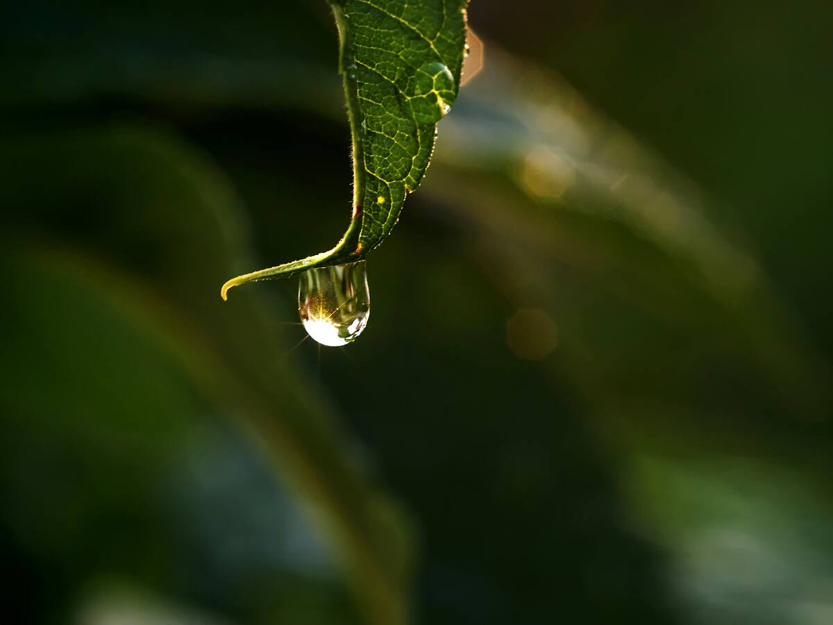 ¿De dónde surge y cómo llegó el agua a la Tierra?