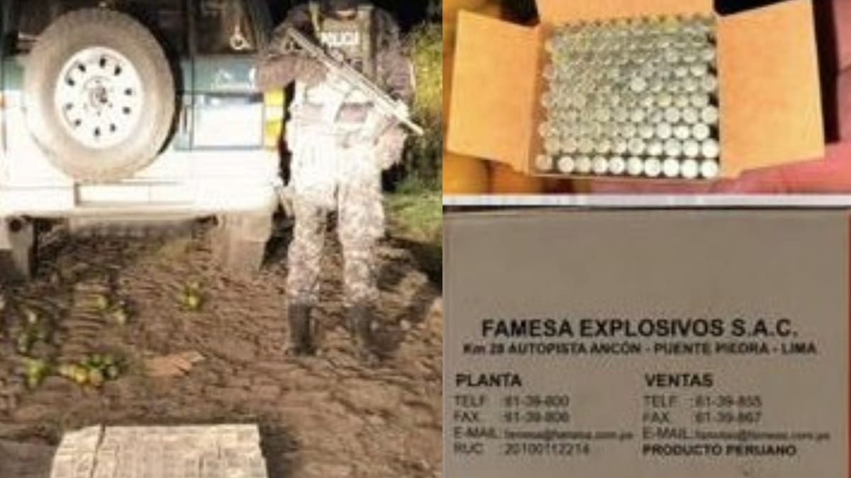 Ecuador incauta 10.000 cápsulas detonantes que iban hacia Colombia